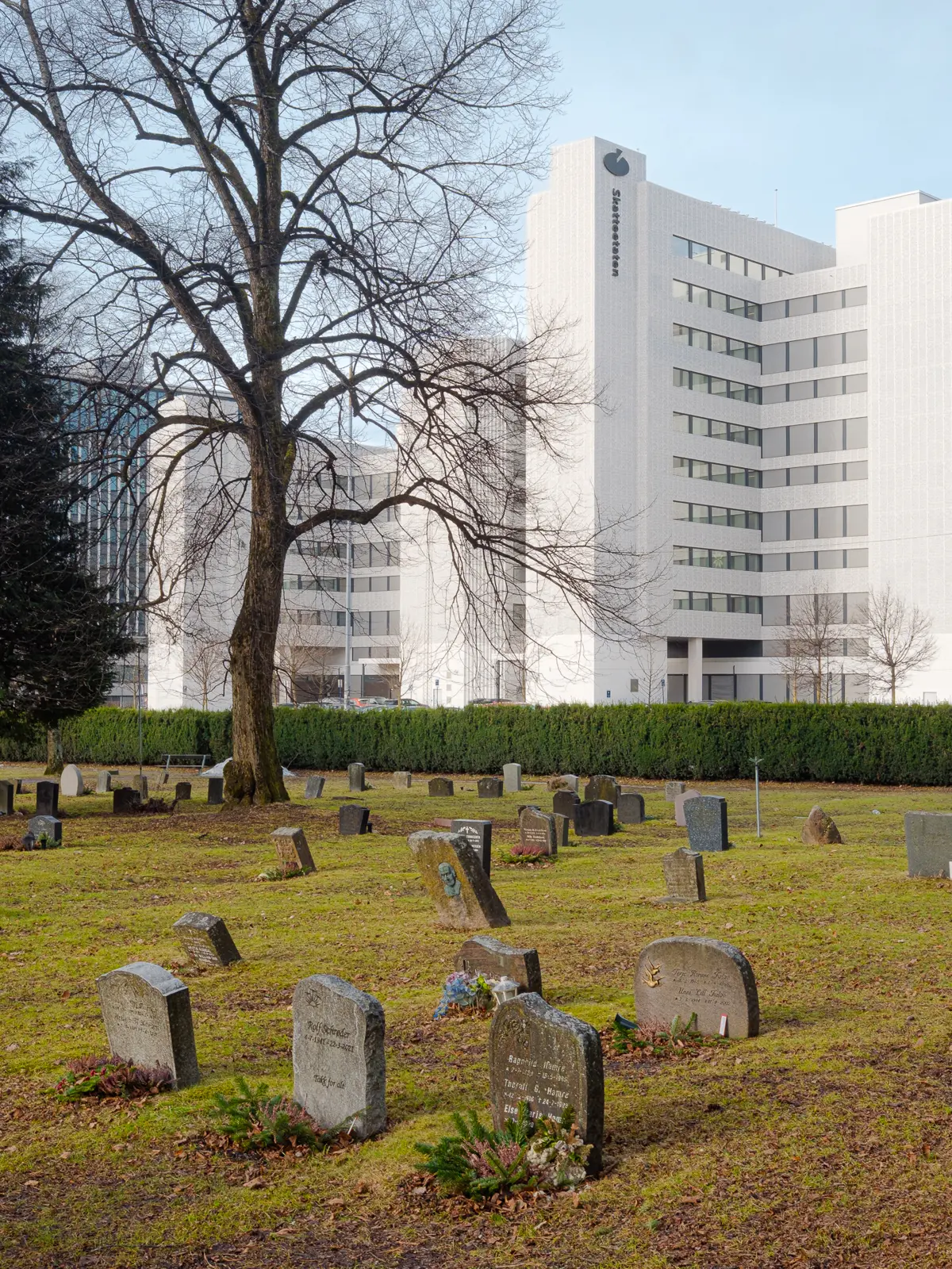 Cemetery and headstones in the foreground, large, white office building housing the Norwegian Tax Authority in the background.