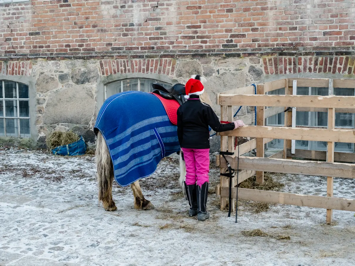 Young girl with santa hat standing next to a horse, both facing away.