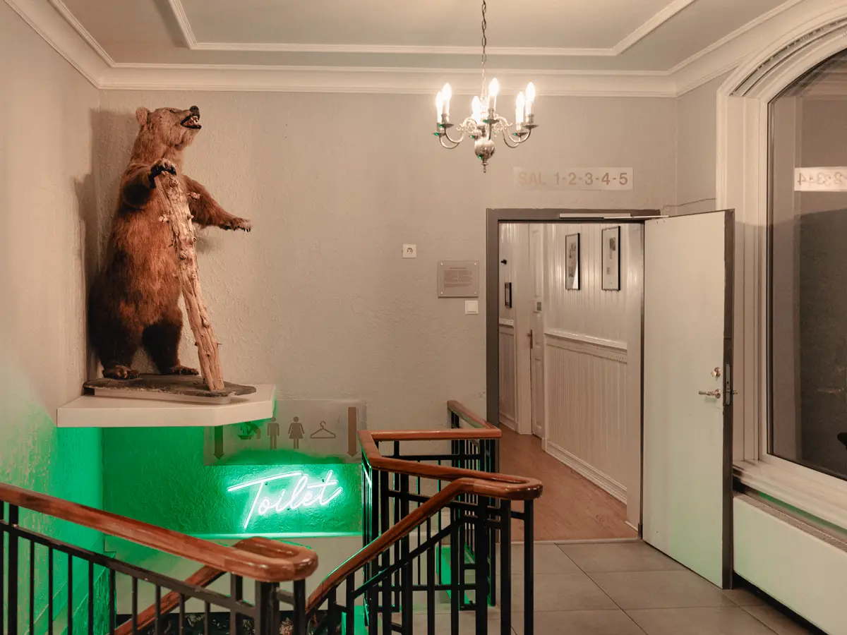 Hotel hallway with stairs an neon lights down to the washrooms and a stuffed brown bear in the corner.