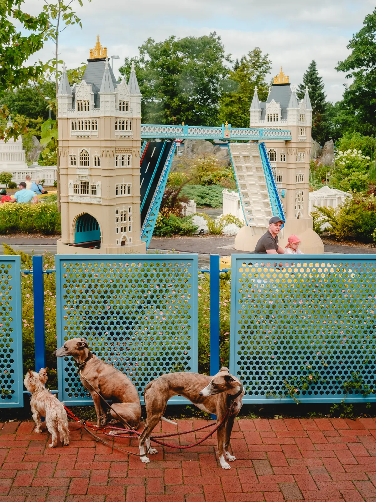 Theme park boat ride with father and son. Three dogs leashed by the fence in the foreground.