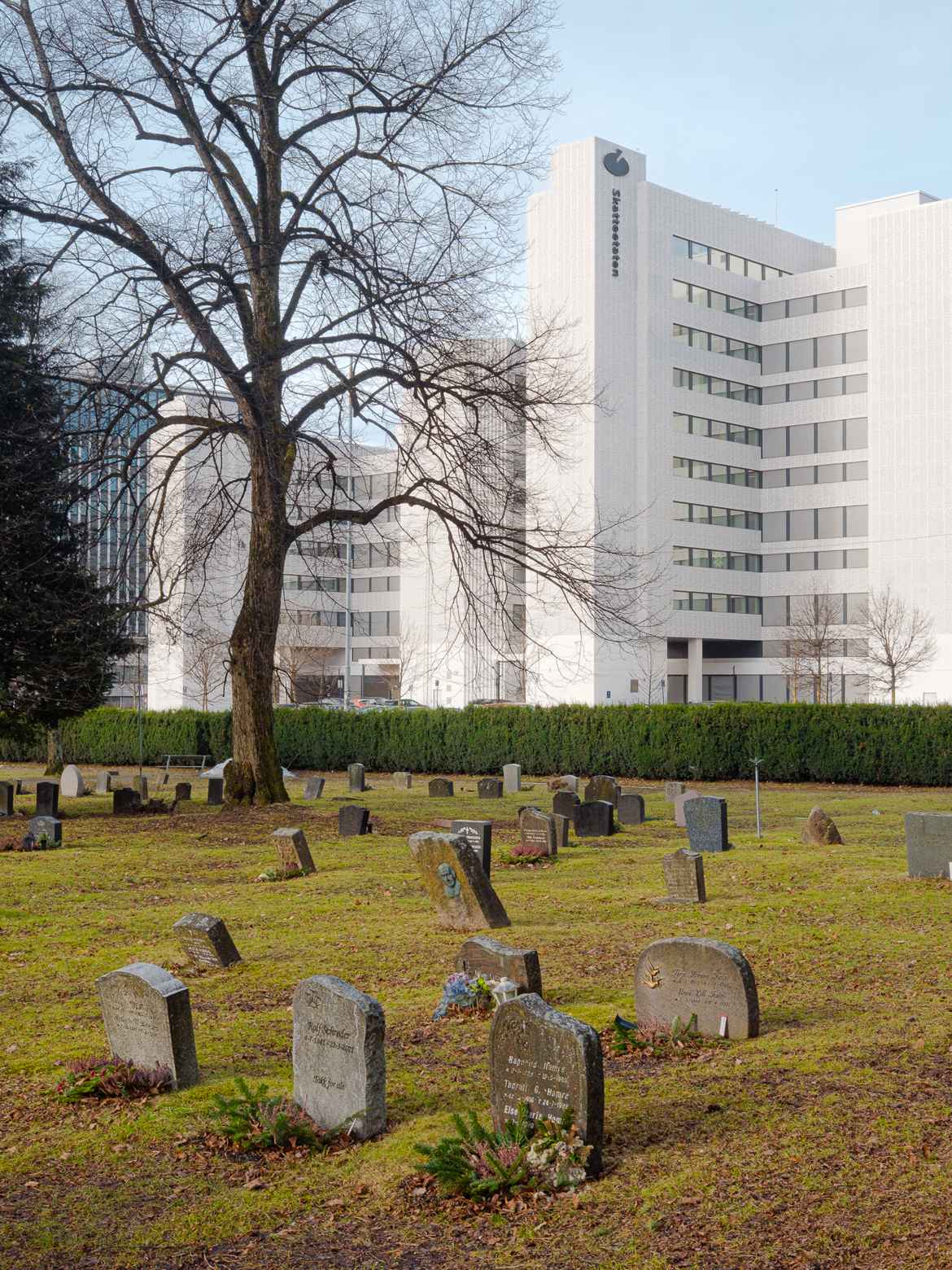 Cemetery and headstones in the foreground, large, white office building housing the Norwegian Tax Authority in the background.