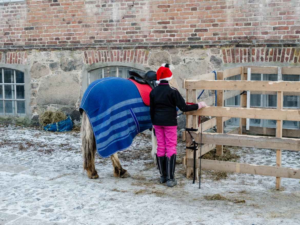 Young girl with santa hat standing next to a horse, both facing away.