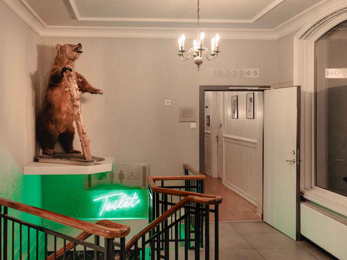 Hotel hallway with stairs an neon lights down to the washrooms and a stuffed brown bear in the corner.
