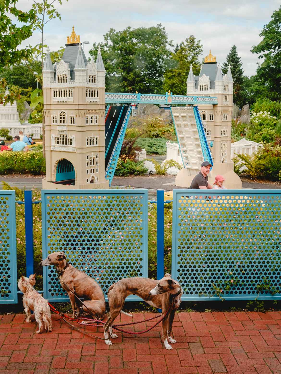 Theme park boat ride with father and son. Three dogs leashed by the fence in the foreground.